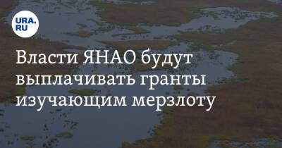 Власти ЯНАО будут выплачивать гранты изучающим мерзлоту