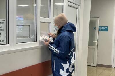 Добровольцы ежедневно доставляют продукты и лекарства жителям Псковской области