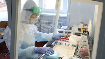 Россия безвозмездно направила странам СНГ около 1 млн тест-наборов для диагностики COVID-19