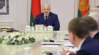 В Германии выразили сожаление из-за заявления Лукашенко по газу