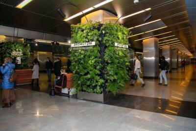 Живые деревья и интерактивная зона на станции «Деловой центр» расскажут о «зеленых» облигациях Москвы