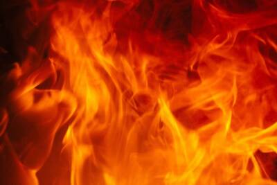 В Ленобласти поджигатели спалили дом и хозпостройки