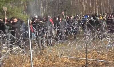 Около сотни мигрантов прорвались на территорию Польши из Белоруссии