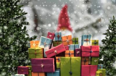 Липчанам предлагают собрать «Подарок Деда Мороза» для нуждающихся детей