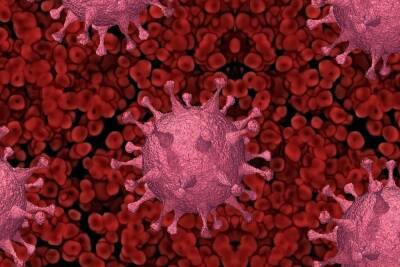 В Чувашии за сутки выявили 178 заболевших коронавирусом, умерли 16 человек