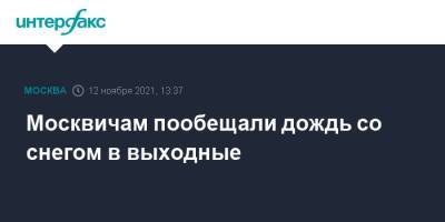Москвичам пообещали дождь со снегом в выходные - interfax.ru - Москва - Россия