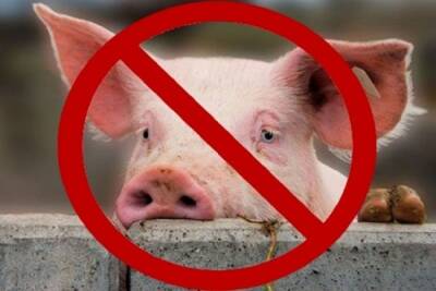 Серпуховских свиноводов предупреждают о страшной болезни