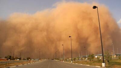 Пыльную бурю над Ташкентом посчитали самой грязной в мире