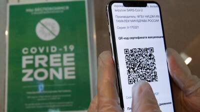 В Госдуме поддержали идею запуска QR-кодов для людей с антителами в Чувашии