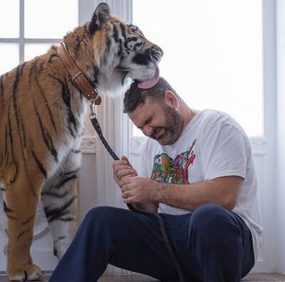 У дрессировщика цирка Никулина суд конфисковал тигра, с которым он гулял по Петербургу