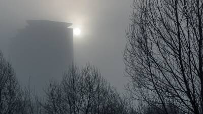 Синоптики предупредили о сильном тумане на Кубани 12 ноября