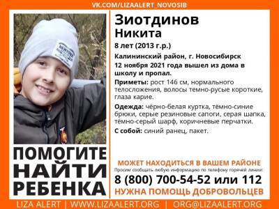 8-летний подросток пропал в Калининском районе Новосибирска