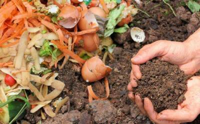 Какие ингредиенты портят компост и делают его вредным для огорода: этого не расскажет сосед - skuke.net