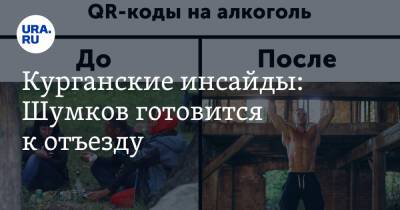 Курганские инсайды: Шумков готовится к отъезду