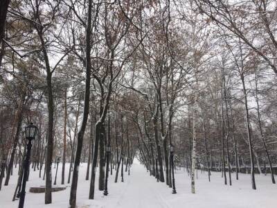 В Башкирии установился снежный покров