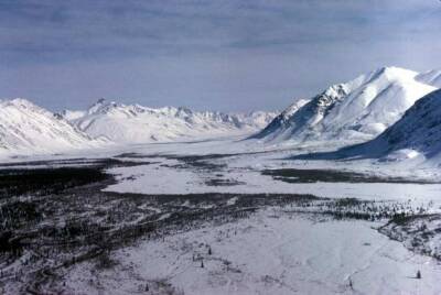 Арктический план Евросоюза против России встретил сопротивление со стороны Норвегии