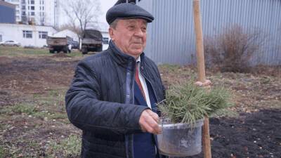 Серебряный волонтёр мечтает, чтобы сибирские кедры росли и в Башкортостане