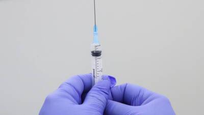 Путин: ВОЗ могла бы ускорить признание новых вакцин и препаратов от коронавируса