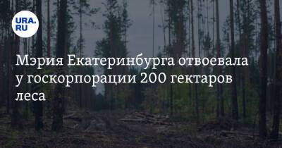 Мэрия Екатеринбурга отвоевала у госкорпорации 200 гектаров леса