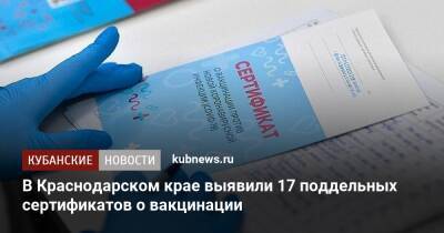В Краснодарском крае выявили 17 поддельных сертификатов о вакцинации