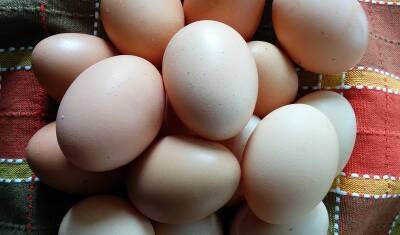 Челябинской птицефабрике запретили экспортировать куриные яйца