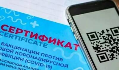 Переходный период при введении системы QR-кодов продлится до 1 февраля