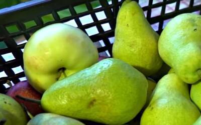 Назван фрукт, который вдвое снижает риск возникновения инсульта: стоит сущие копейки