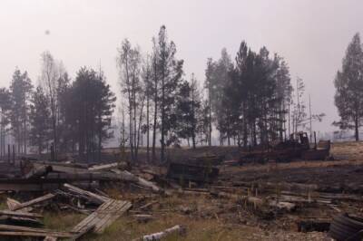 Более 30 населенных пунктов в РФ пострадали от природных пожаров за год