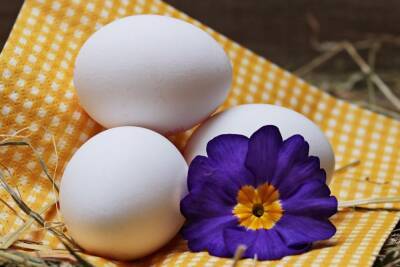 Диетолог из Парижа проверил популярные мифы о яйцах