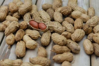 Нутрициолог Рустамова рассказала о пользе арахиса для здоровья сердца