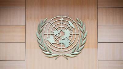 Представителя РФ переизбрали в Комиссию международного права ООН