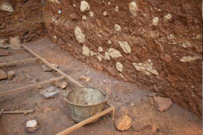 Берестяные грамоты и костяные коньки: что археологам удалось «добыть» в Великом Новгороде