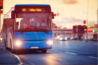 Новгородские автобусы станут курсировать чаще