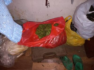 Липецкие полицейские изъяли 42 кг наркотиков в ходе операциии "Мак"