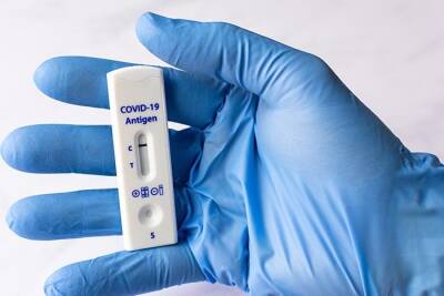 С 13 ноября экспресс-тесты на коронавирус снова будут бесплатными для всех