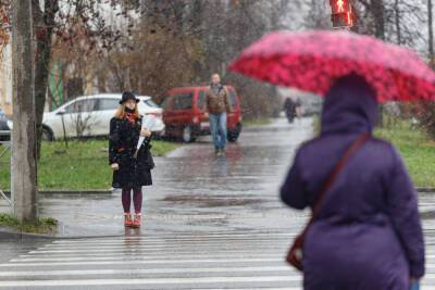 Мокрый снег прогнозируют синоптики в Псковской области 14 ноября