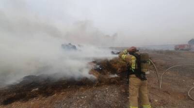 Пожар возле аэропорта Бен-Гурион: жителей эвакуируют под покровом дыма и мглы