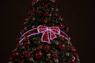 В Пензе установкой главной новогодней красавицы займутся в середине ноября