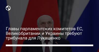 Главы парламентских комитетов ЕС, Великобритании и Украины требуют трибунала для Лукашенко
