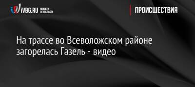 На трассе во Всеволожском районе загорелась Газель — видео