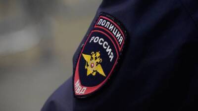 Полиция начала поиски пропавших иностранных студентов в Подмосковье