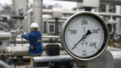 В Германии оценили запасы газа