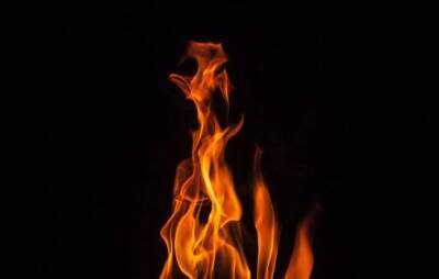 На пожаре в садоводстве в Ленобласти погиб мужчина