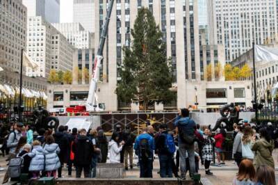 В Нью-Йорк доставили главную 12-тонную рождественскую ель