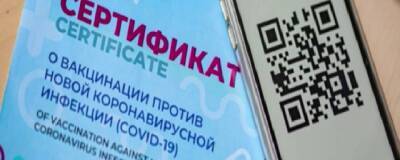 В Екатеринбурге «РодНадзор» провел пикет против антиковидных QR-кодов