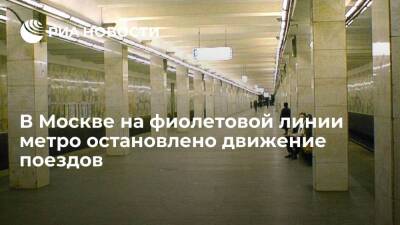 Движение поездов на фиолетовой линии метро в Москве остановлено из-за человека на пути