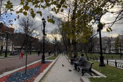 В Москве объявлен желтый уровень погодной опасности из-за ветра