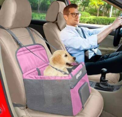 Что нового на рынке: выбираем автомобильное удерживающее устройство для собаки