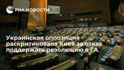Украинская оппозиция назвала отказ Киева поддержать российскую резолюцию преступлением