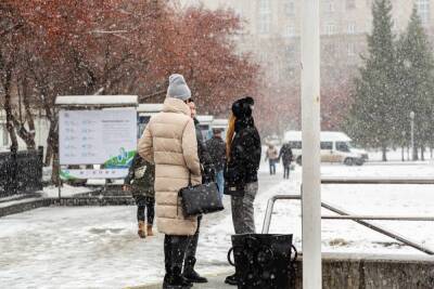 Сильный мороз обрушится на Новосибирск 15 ноября